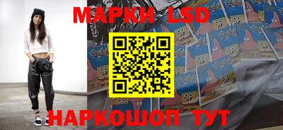 твердый Будённовск