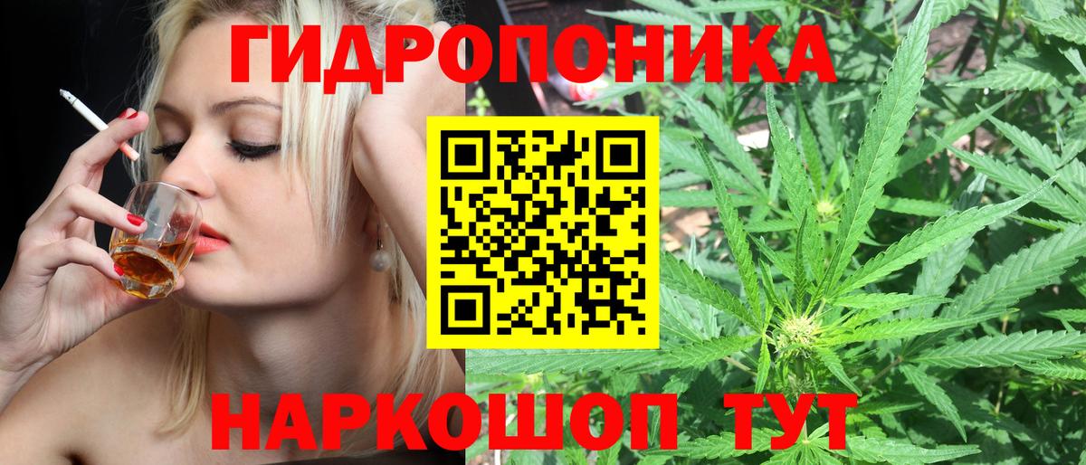 Бошки Шишки тримм  Канабис Amnesia  Каннабис MAZAR  Новосибирск  Вход с VPN  Шишки марихуана план 